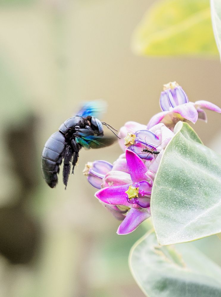 Photograph by Pankaj Kumar