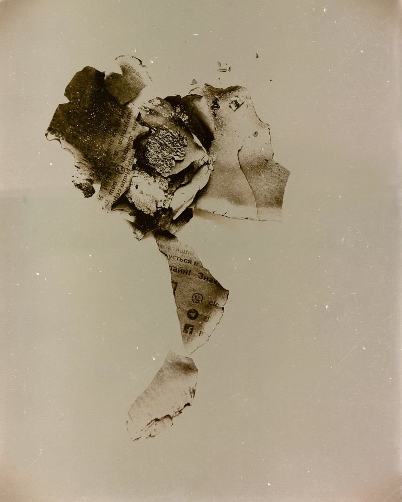 Flowers from the ashes