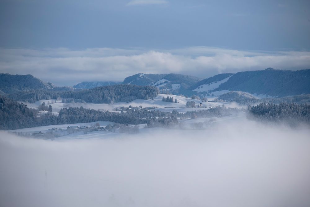 Photograph by Ala Botnarescu