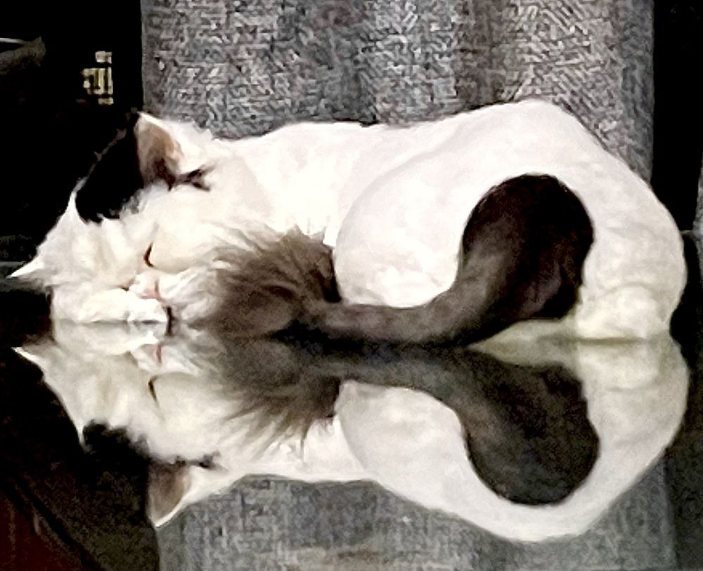 Photograph by Dinesh Kamble