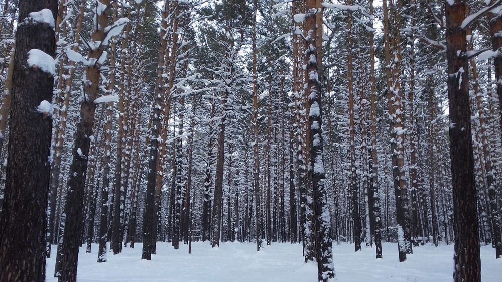 Photograph by Валентина Дворниченко