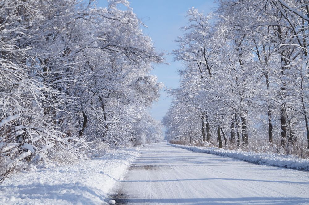 Photograph by Ольга Новикова