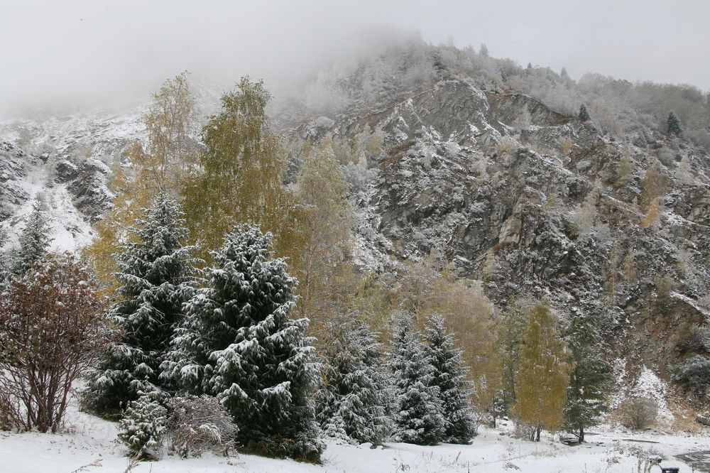 Photograph by Евгений Медведев