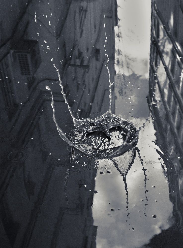 Корона городского водяного