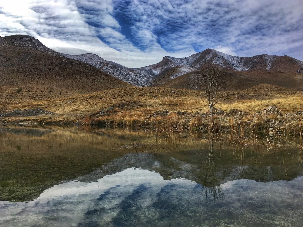 Photograph by Hamide Jafari