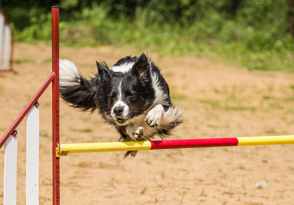 Photograph by наталья залогина