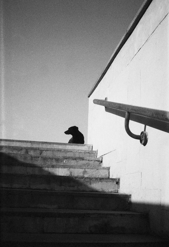 Photograph by Владислав Громов