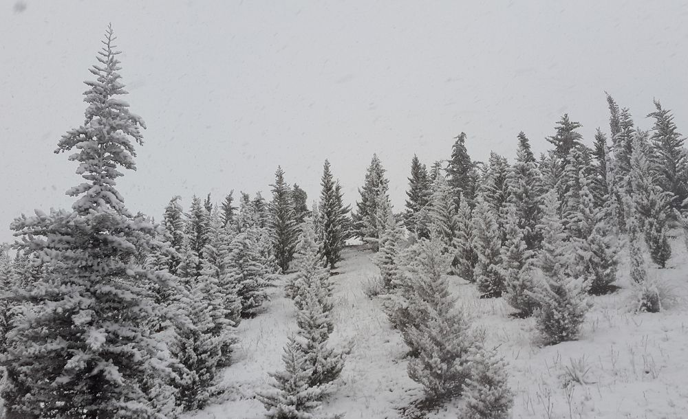 Photograph by Mohamed Kaouche