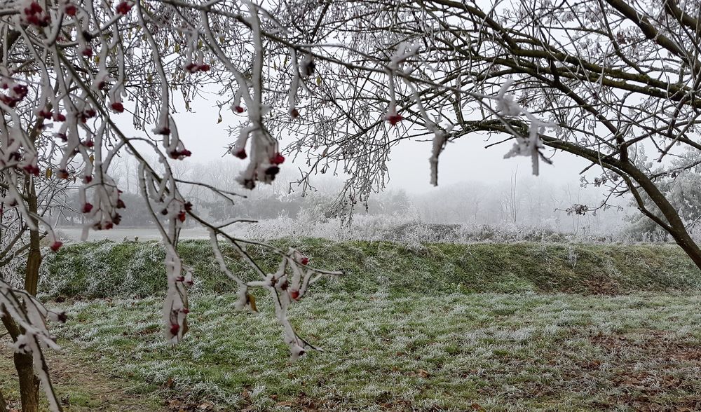 Photograph by Mohamed Kaouche