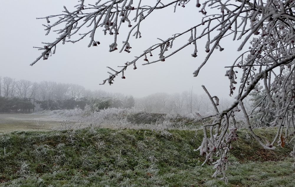 Photograph by Mohamed Kaouche