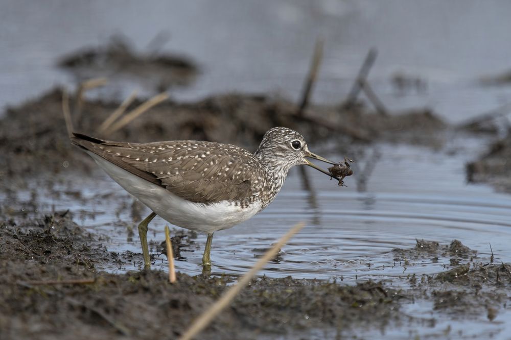 Фотография автора Юрий Калиногорский