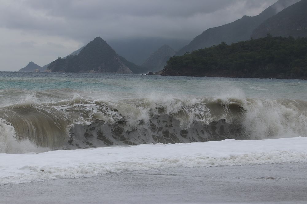 Фотография автора Татьяна Свистулина