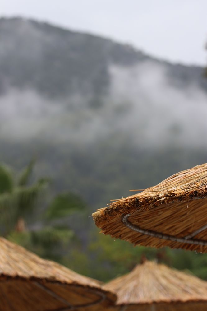 Фотография автора Татьяна Свистулина