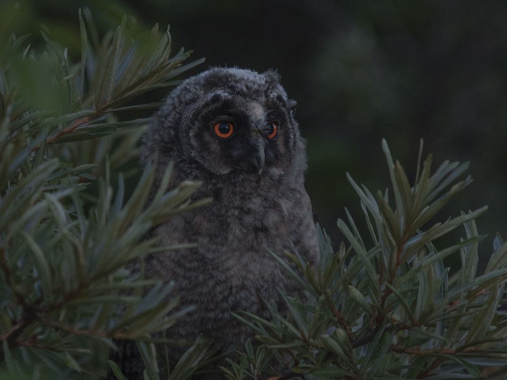 Фотография автора Юрий Калиногорский