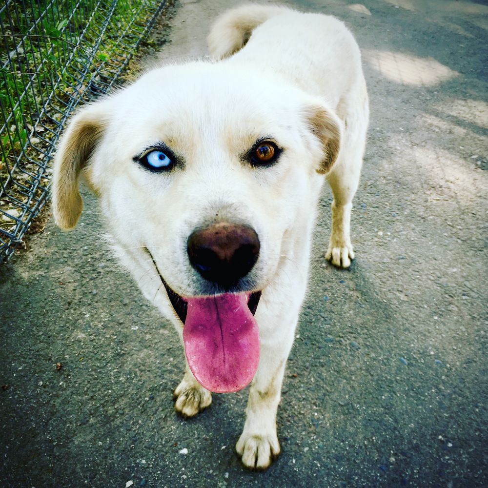 Photograph by Olga Afanaseva