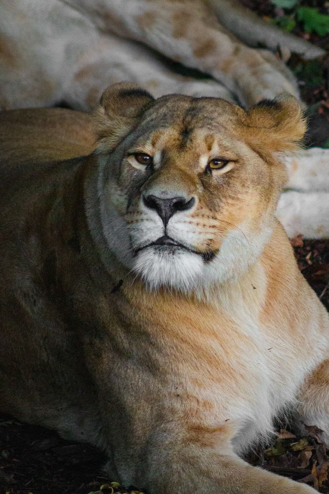 Photograph by Aleksandr Korotkov