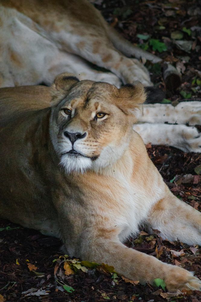 Photograph by Aleksandr Korotkov