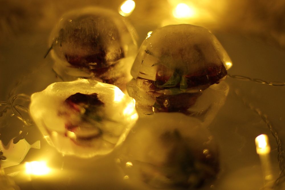 цветы во льду