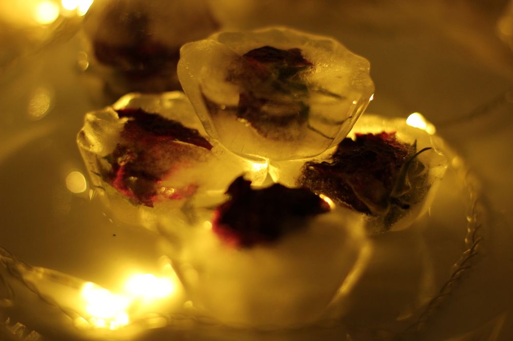 цветы во льду