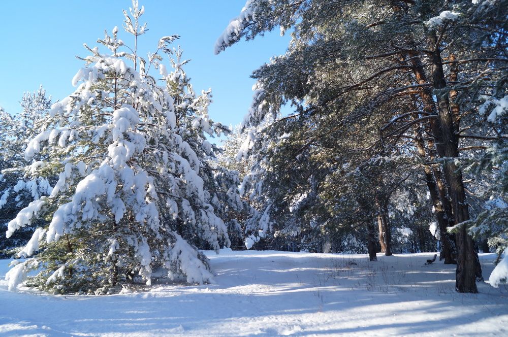 Photograph by Ольга Новикова