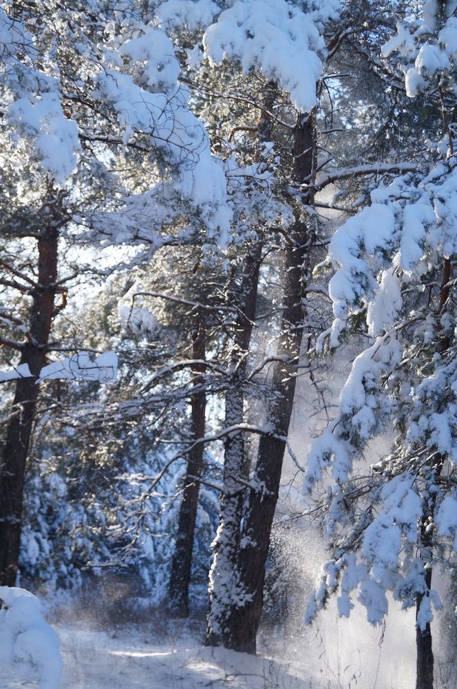 Photograph by Ольга Новикова