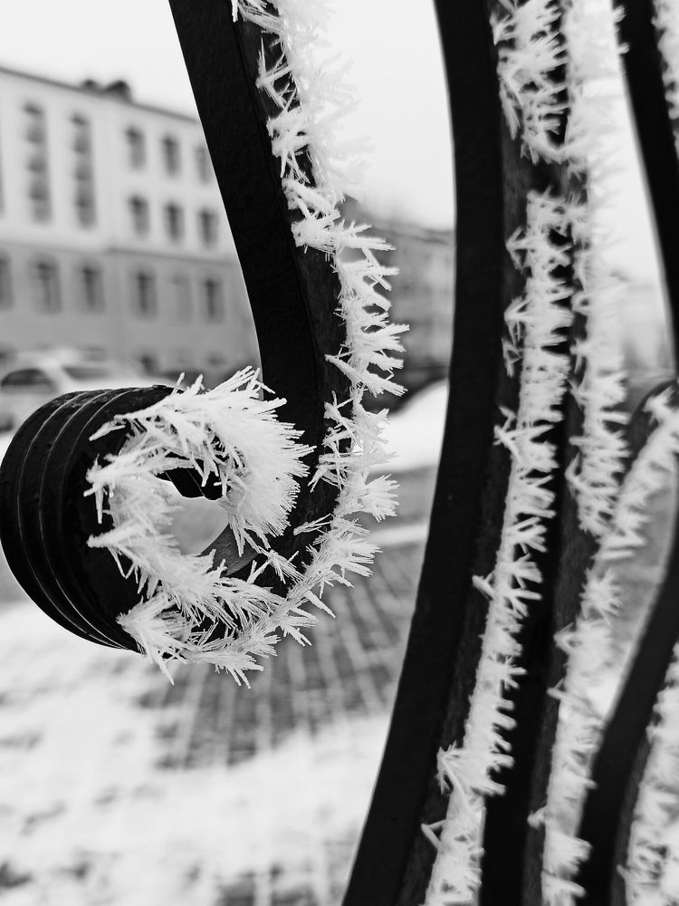 Photograph by Галина Мицевич