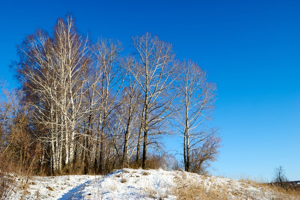 Морозное утро.