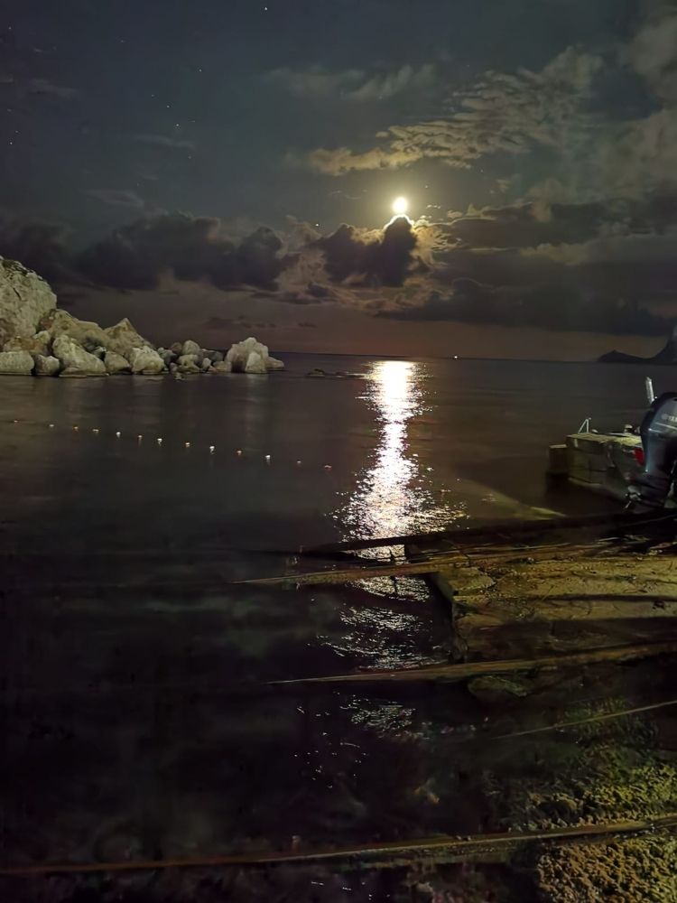 Photograph by Виктория