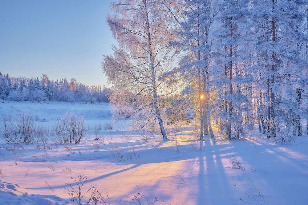 Photograph by Владимир Крышковец