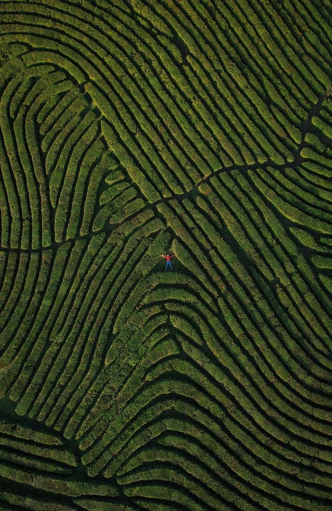 Photograph by Анна Халкониди