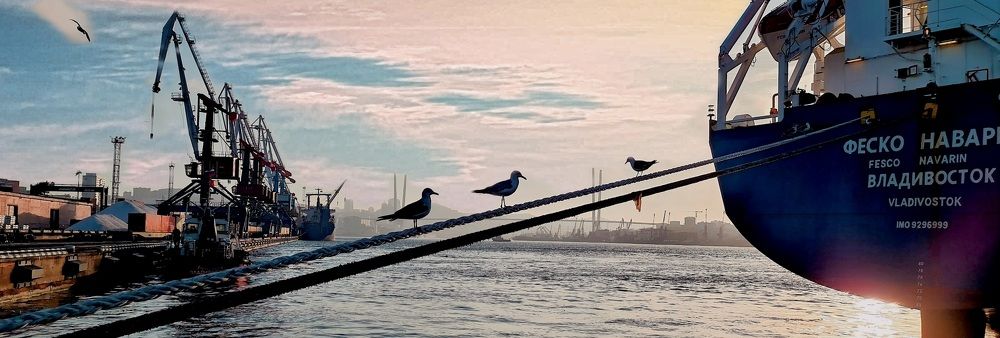 Утро в порту