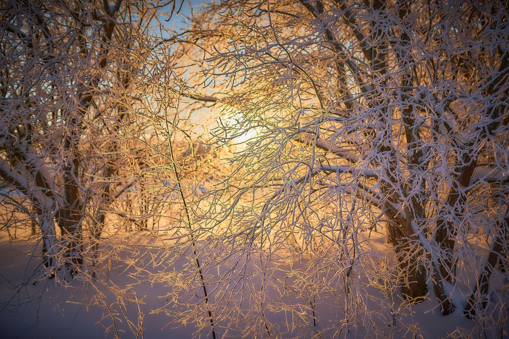 Photograph by Владимир Крышковец
