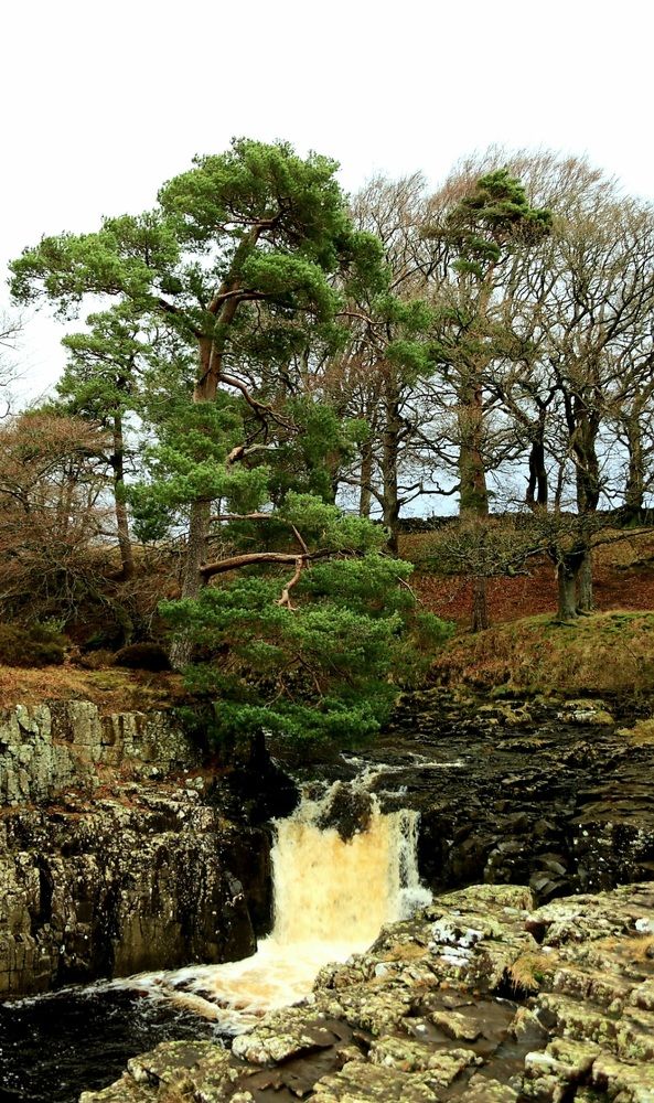 Photograph by Aneta Kicia