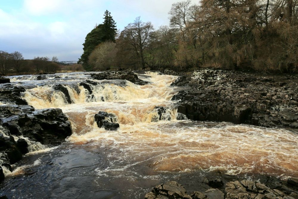 Photograph by Aneta Kicia