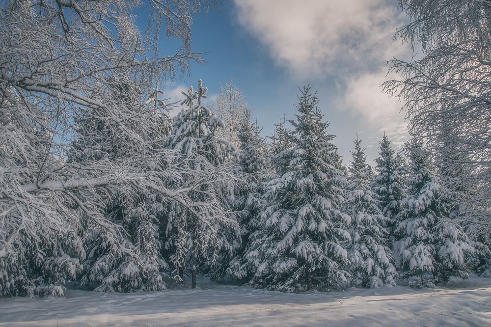 Photograph by Яна Булаш