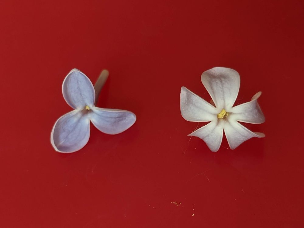 Photograph by Артём