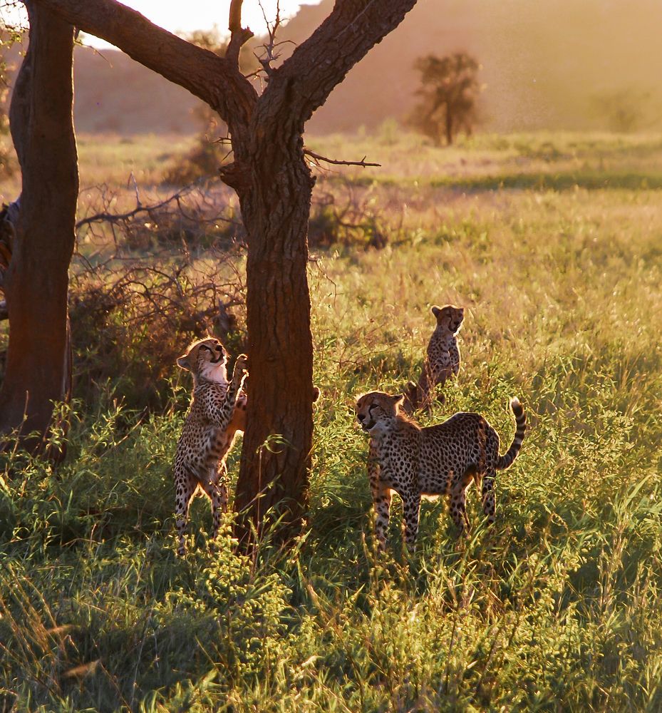 Фотография автора Мария Рохмистрова