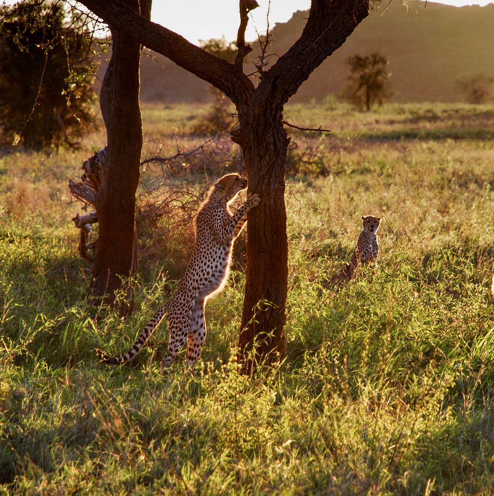 Фотография автора Мария Рохмистрова