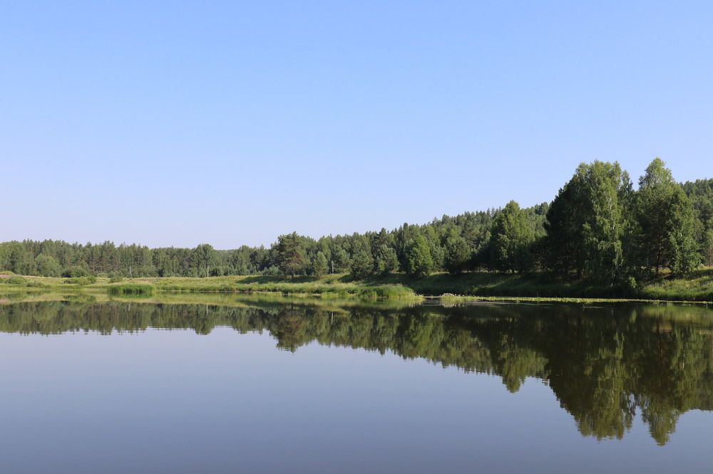 Фотография автора Татьяна Свистулина