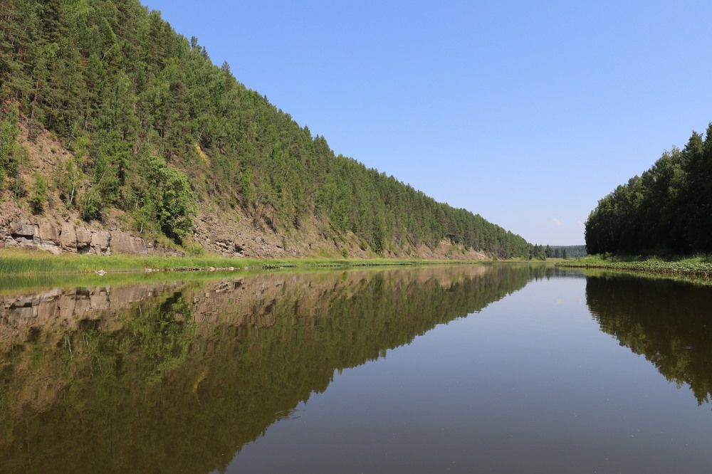 Фотография автора Татьяна Свистулина