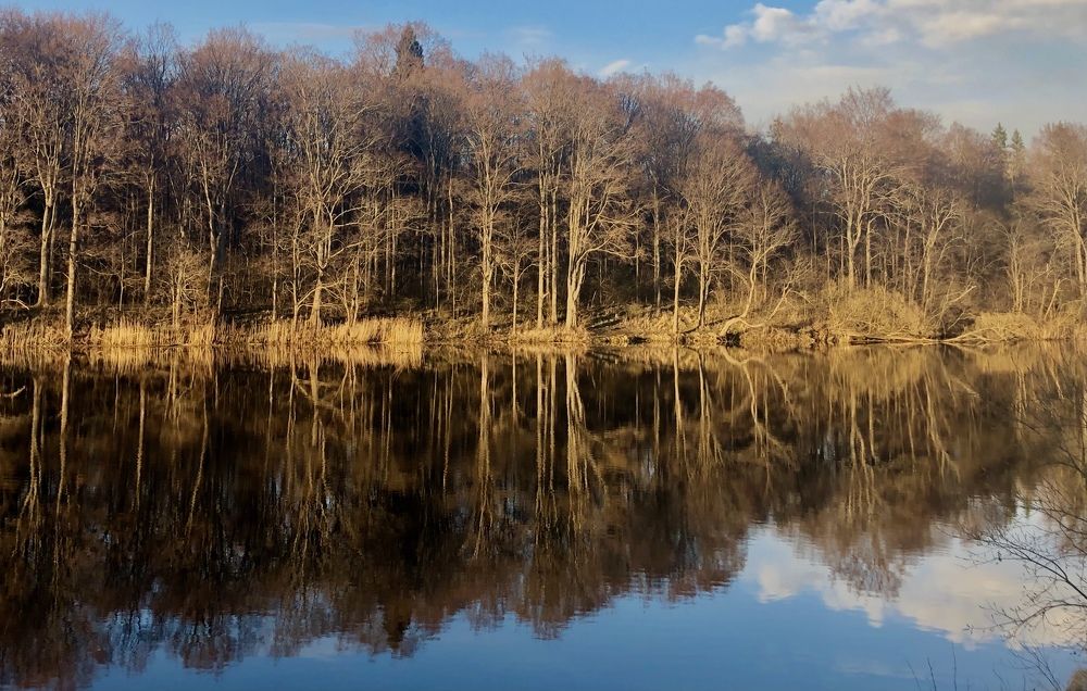 Photograph by Tatiana Mishchenko