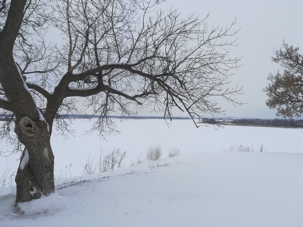 Photograph by Светлана Батурова