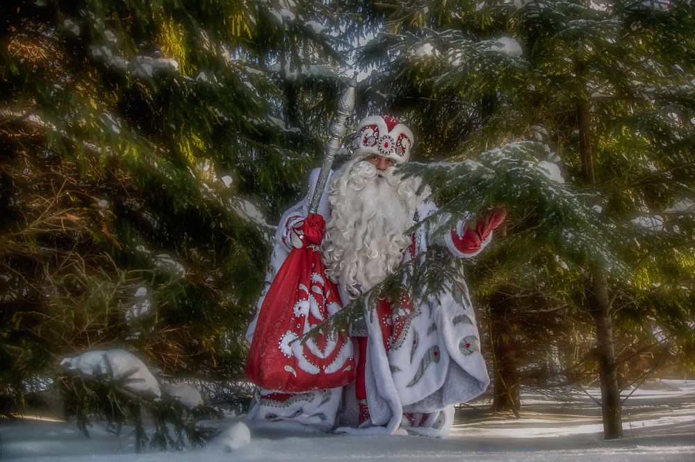 сказочный Морозка