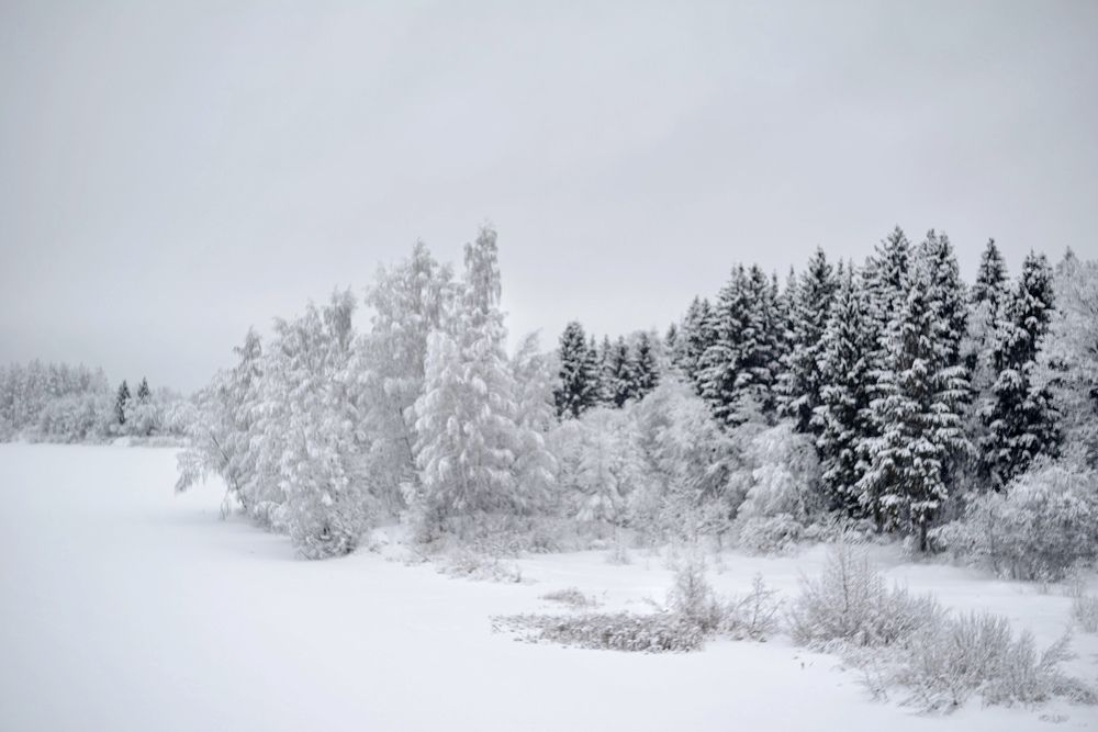 Photograph by Tatiana Mishchenko