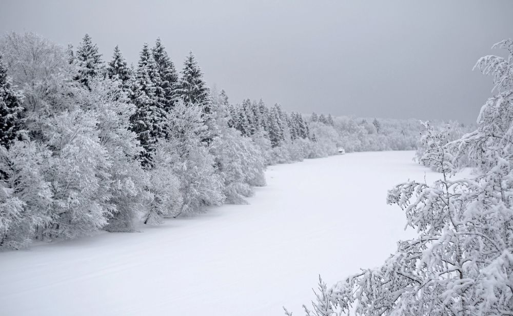 Photograph by Tatiana Mishchenko