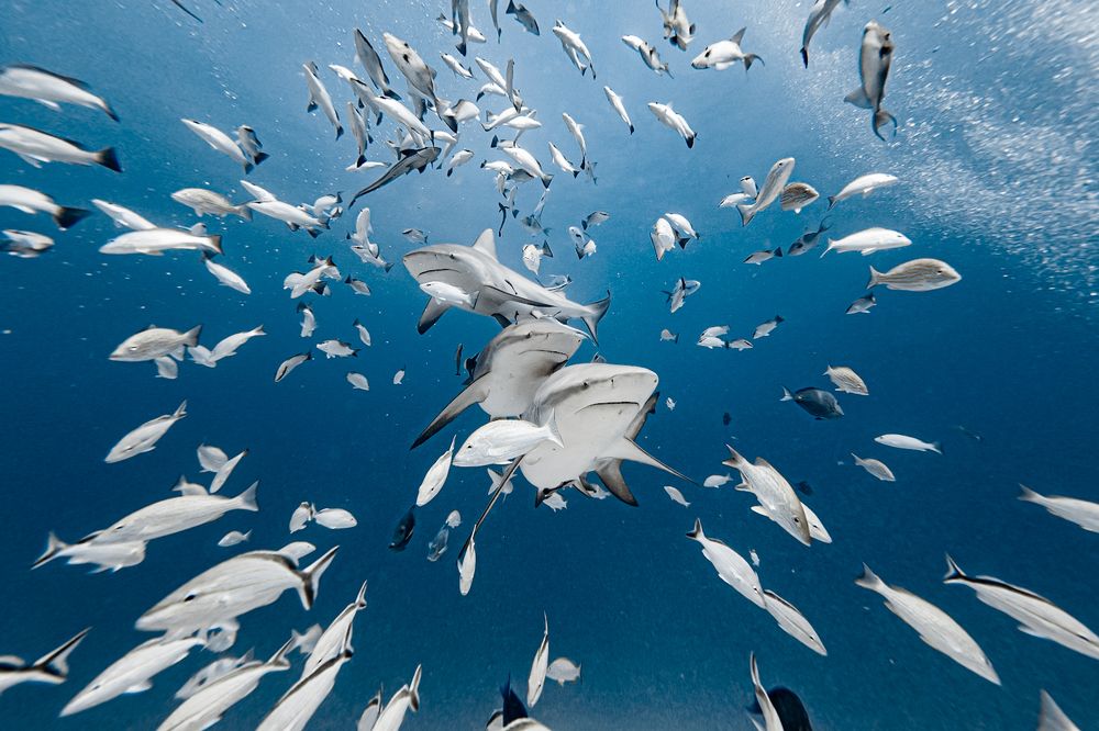 Photograph by Mizael Palomeque