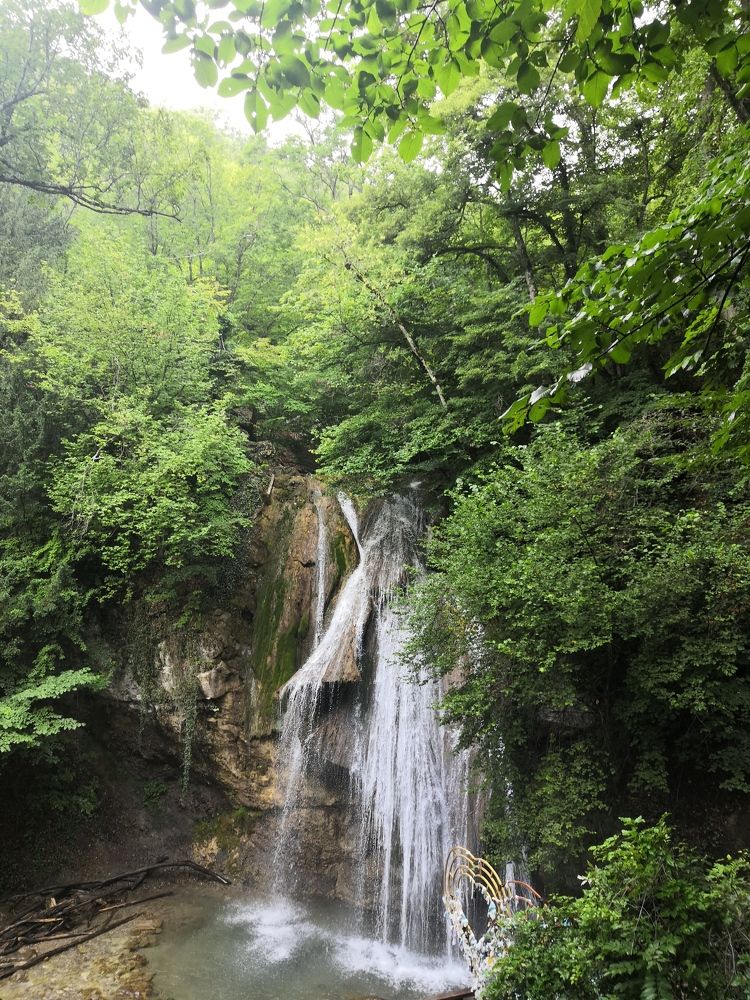 Photo #7019590