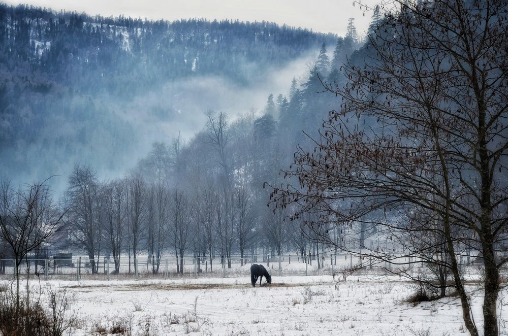 Photograph by Юлия Шмидт