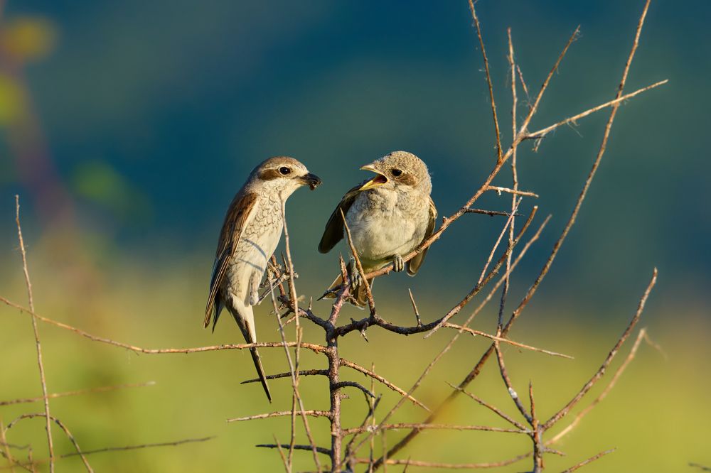 Фотография автора Владимир Глинский