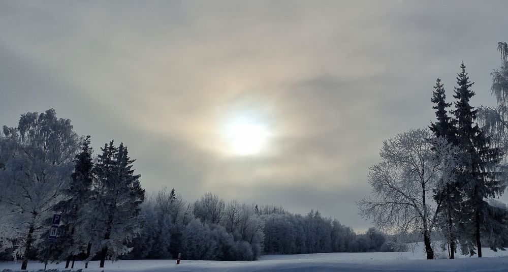 Photograph by Алиса